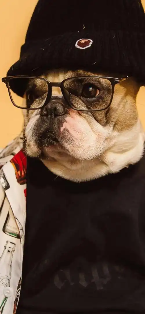 潮酷全面屏壁纸-搜狐大视野-搜狐新闻