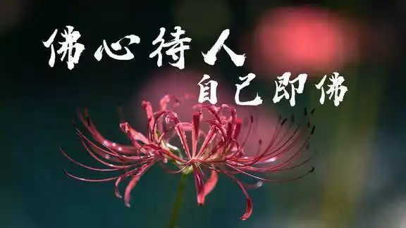 佛语经典佛心待人自己即佛佛性悟人人即是佛