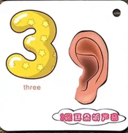 在幼儿园里我们一起唱歌,跳舞,认字,数数……今天我们一起来认识一下