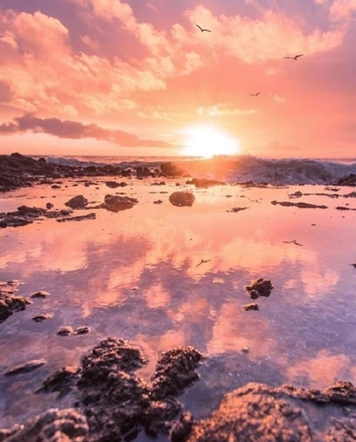 加利福尼亚的粉色晚霞,在浪漫的城市里连晚霞都是粉红色的!