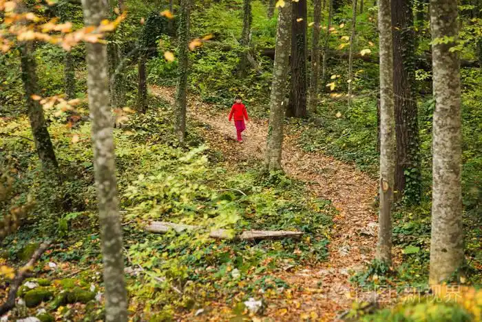 穿着红色西装的小女孩在穿过森林的小径上结结巴巴