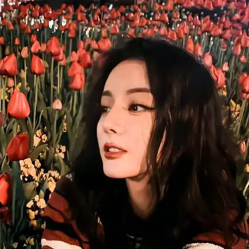 迪丽热巴头像来啦