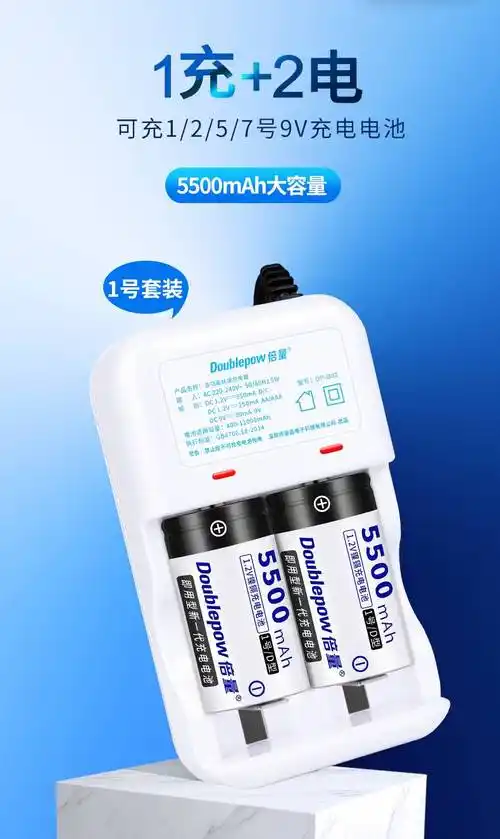 号充电电池大容量多功能套装大一号d型煤气灶燃气灶专用电池2槽多功能