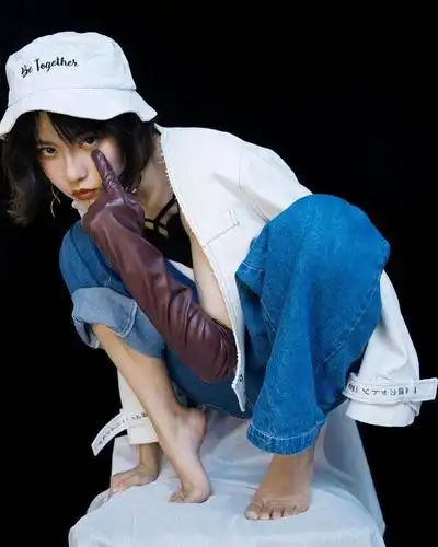 诸葛大力成果ig绝版图集 附下载链接