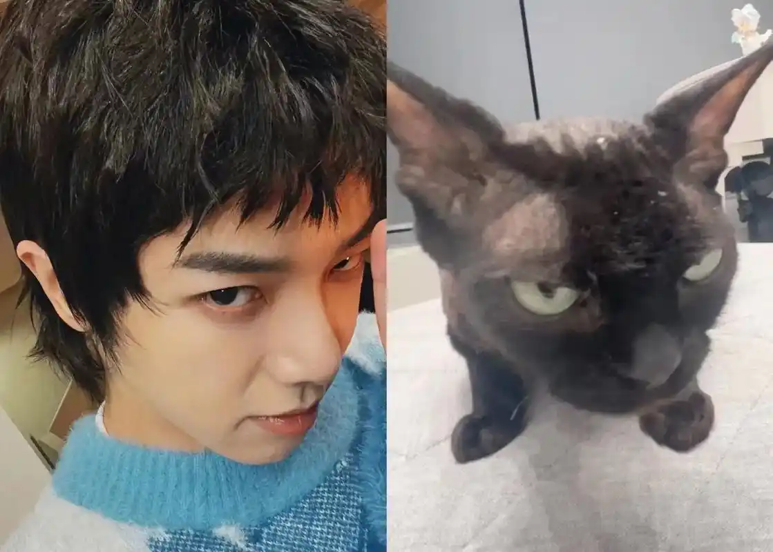 "狂拽炫酷随它爹" #华晨宇#perper#火星演唱会#飞行 - 抖音