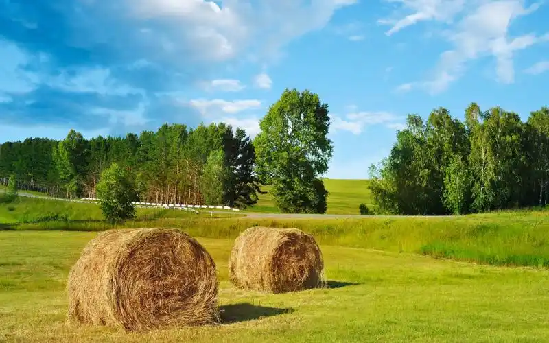 丰收的喜悦草垛风景图片壁纸下载