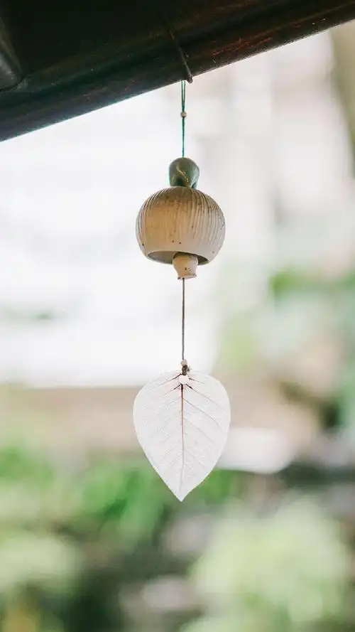 小清新治愈系静物创意图片手机壁纸