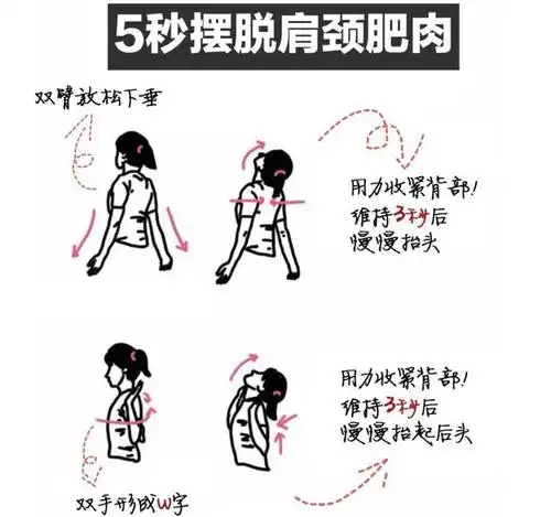 瘦肩针消除斜方肌,天鹅颈养成,满满的干货必看