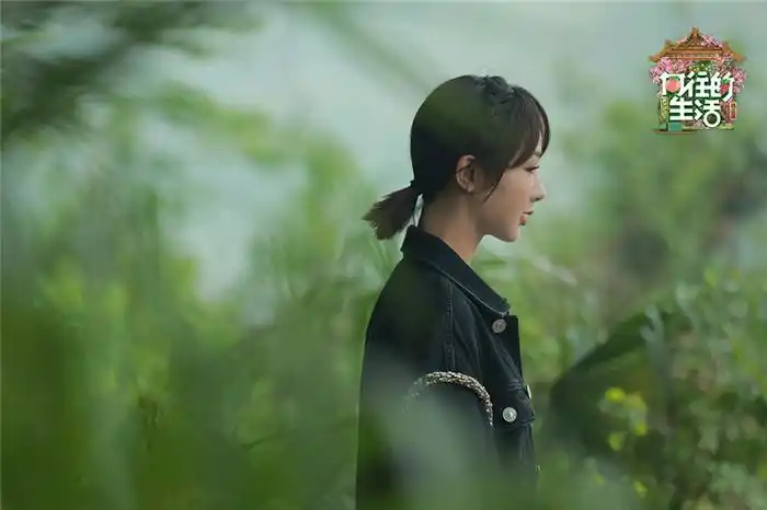 向往的生活第五季杨紫做客蘑菇屋竟成小迷糊与张子枫聊天超亲密