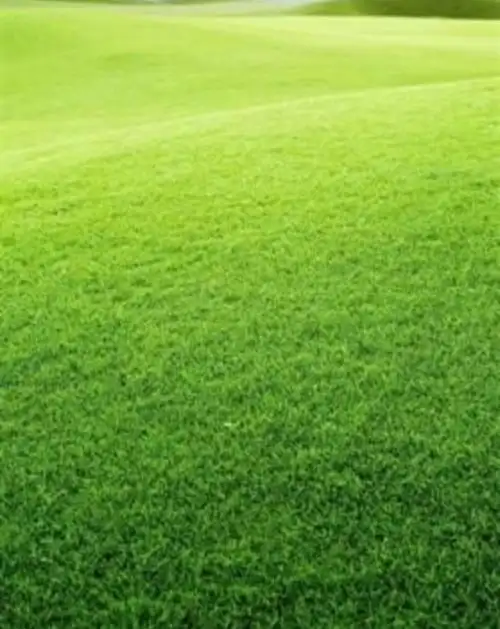 高清微信护眼图