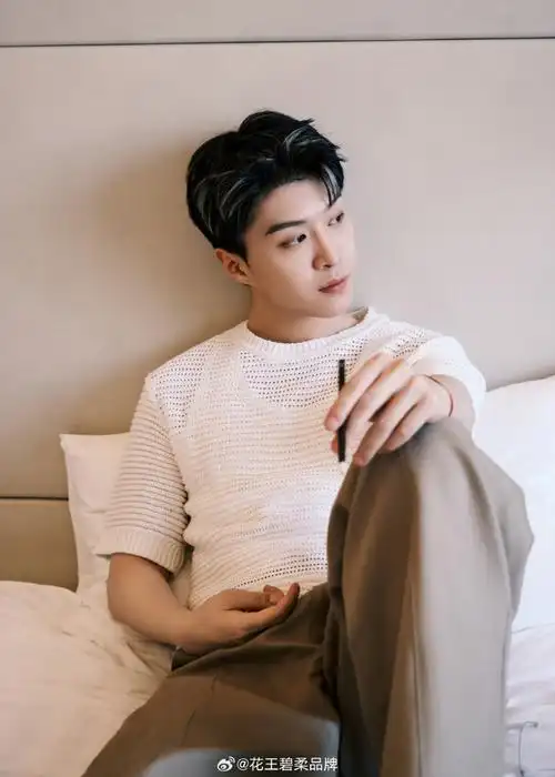 范丞丞碧柔品牌代言人