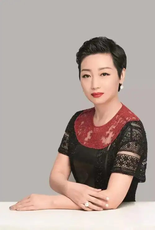 国美控股集团ceo杜鹃重新定义零售关于黄光裕家庭股权之争