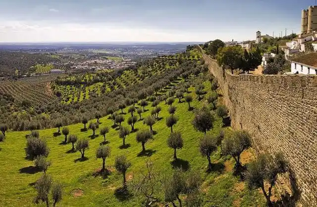 我们都知道"地中海气候",但是你可能不知道"亚热带夏干气候"