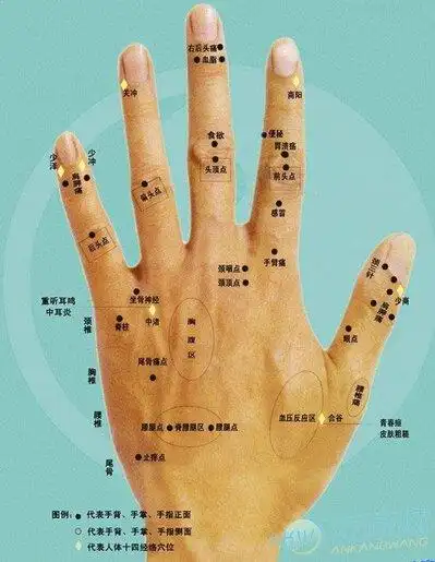 手上长痣面相图