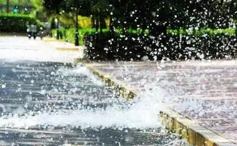 首个杨柳飞絮预报你没看错它又双叒来了