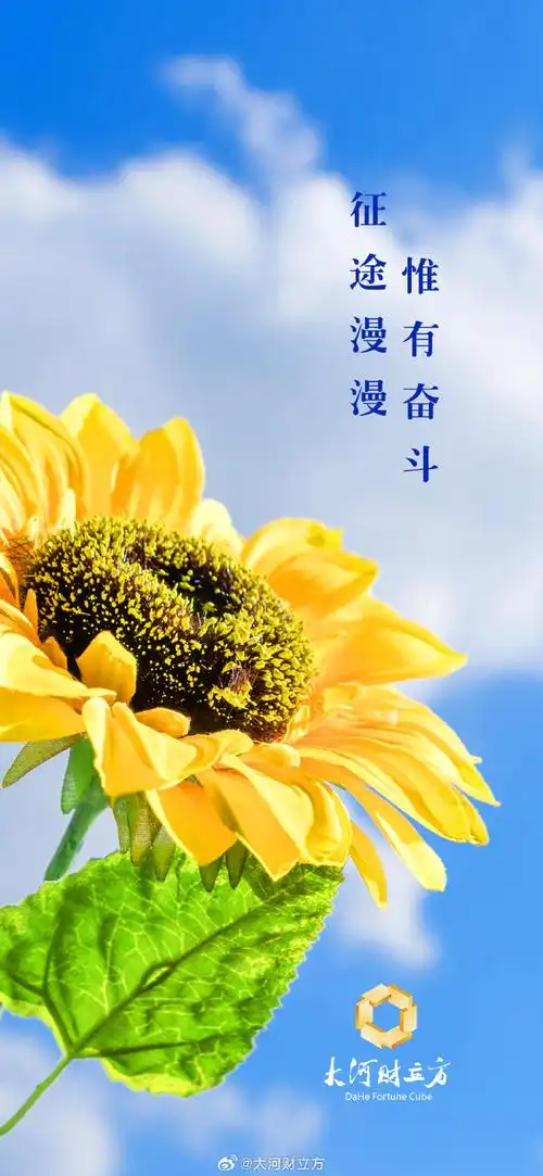 送你一组奋斗壁纸