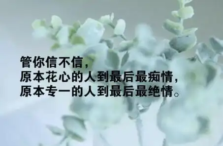 精辟人生感悟句子,超现实!