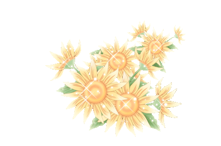 450_298gif 动态图 动图