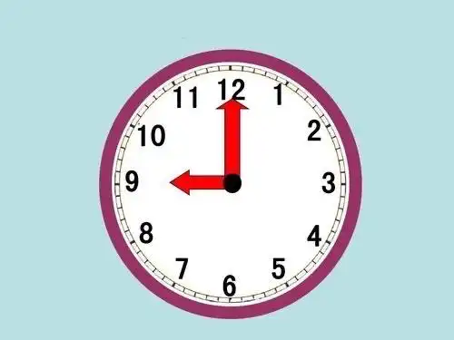 认识时钟,知道时针,分针以及它们之间的运转关系,能正确辨认整点,半点