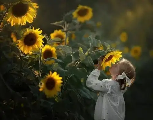 治愈系美图,看完心情美美哒