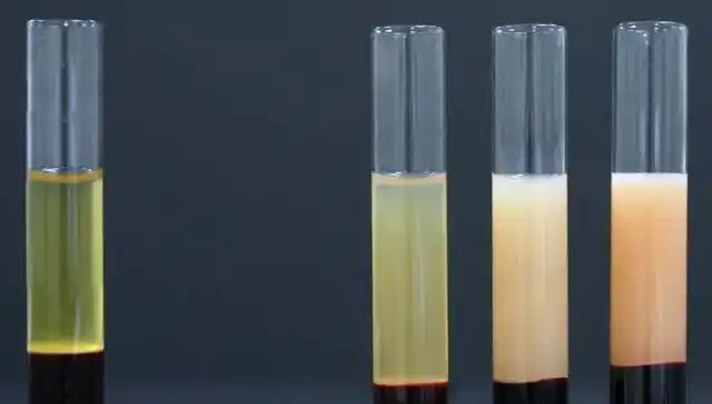 体检要空腹晚饭能吃不能喝水吗药要不要停你真的空对了吗