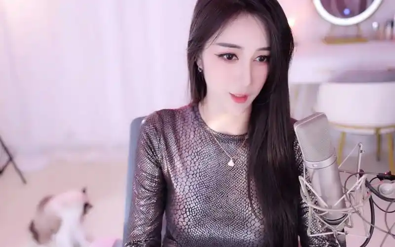 虎牙车老板阿 定制在置顶视频_哔哩哔哩_bilibili