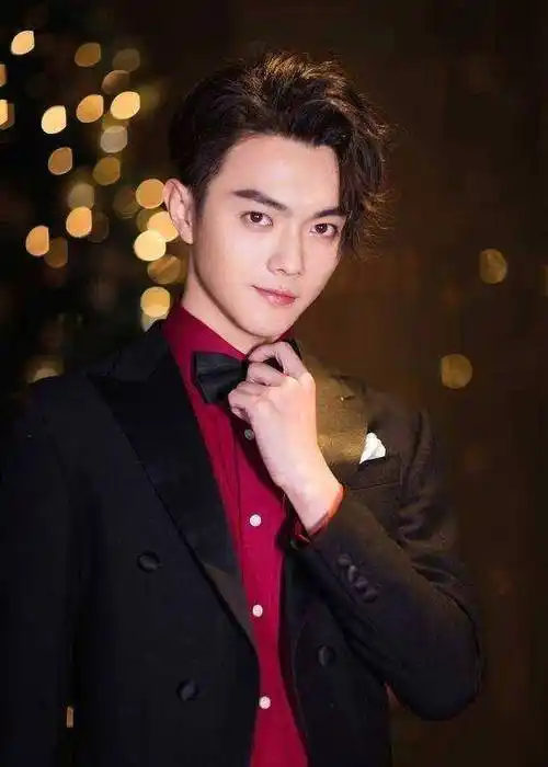 无论是吴谨言的魏璎珞还是白鹿的谢良辰亦或是许凯的顾燕帧,这几个