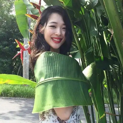 崔雪莉,sulli,fx图片