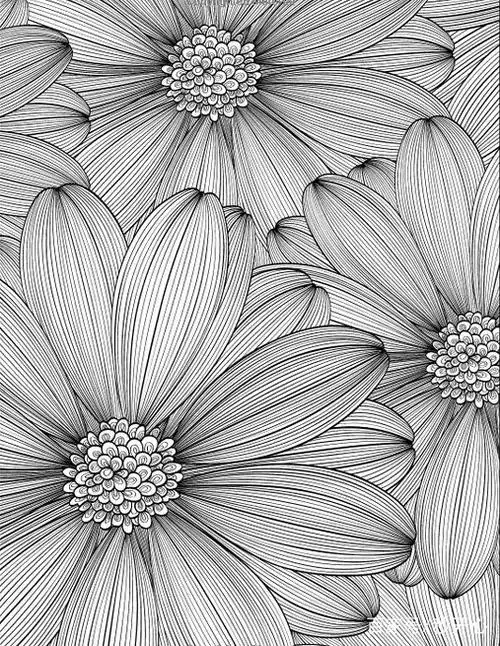 手绘艺术:让人震撼的立体黑白画,赋予你的不只是享受