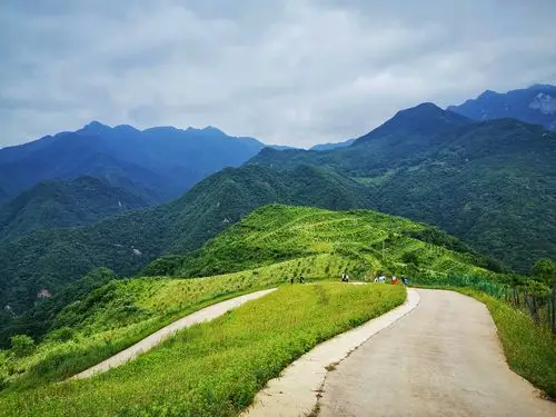 秦岭山水流峪高山草甸