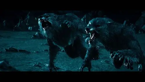 在那里,两大种族――吸血鬼和狼人斗得你死我活,每一方都以消灭对方