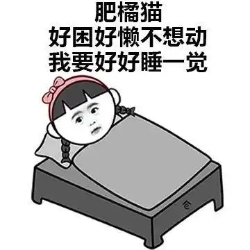 肥橘猫:好困好懒不想动 我要好好睡一觉