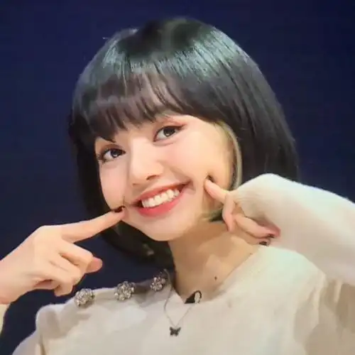 lisa适合做头像的图片(内含可爱搞怪风