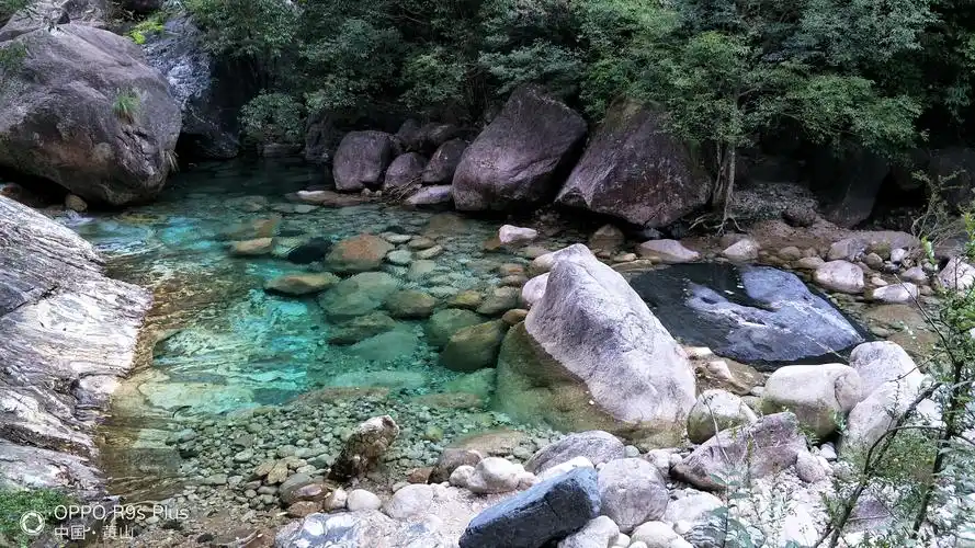 黄山景区一一翡翠谷(2020,8,5)