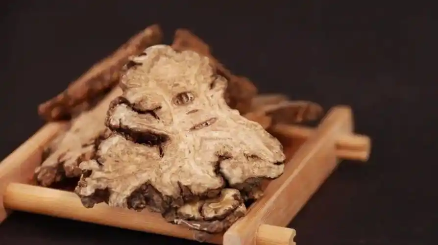 当归:女性的人参_中医药_云南省_医学