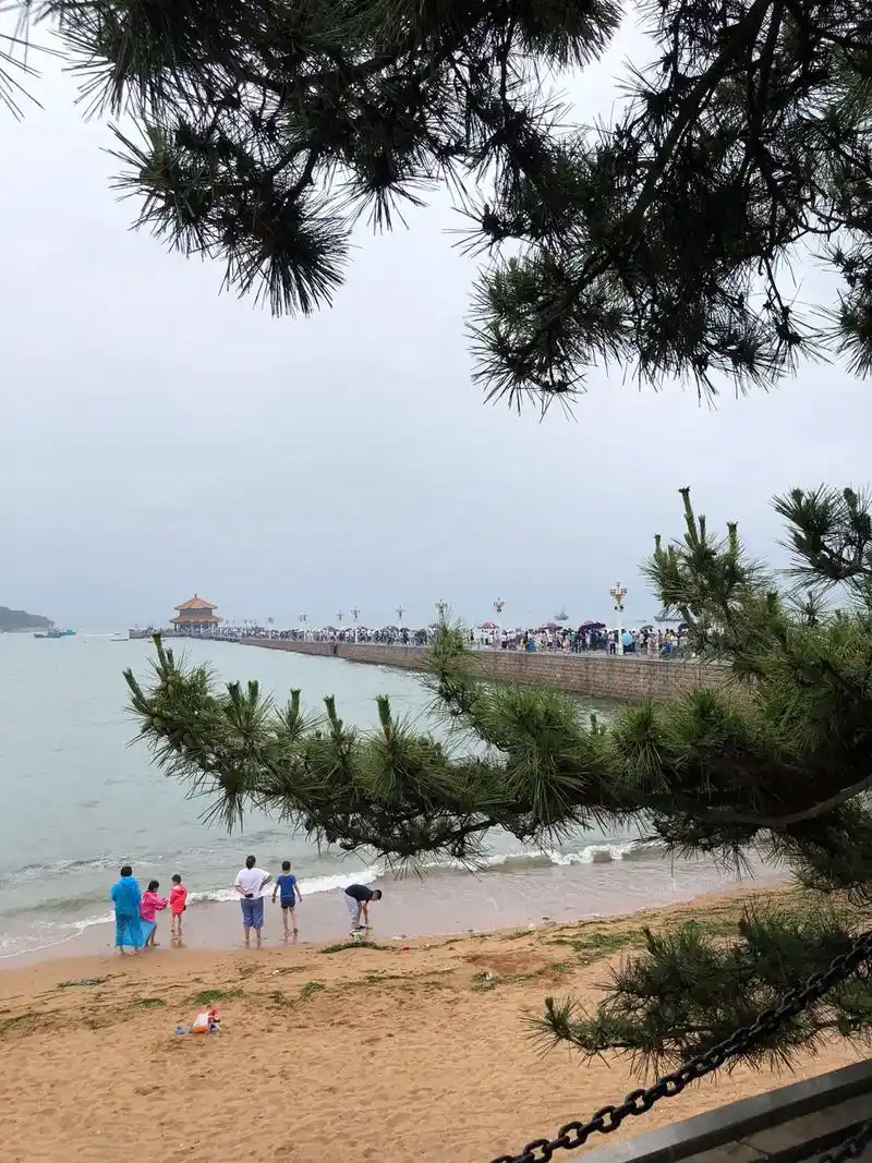 带你去看海 青岛百年栈桥#现场实拍 #治愈系风景 #海边随 - 抖音