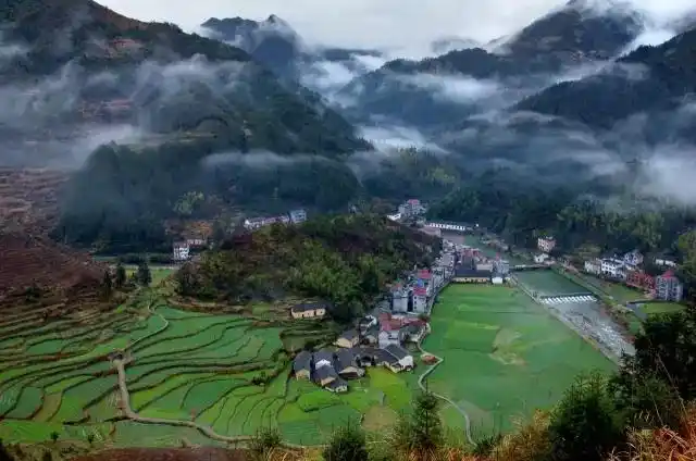 中国美丽乡村辣么多,衢州ta们却脱颖而出了