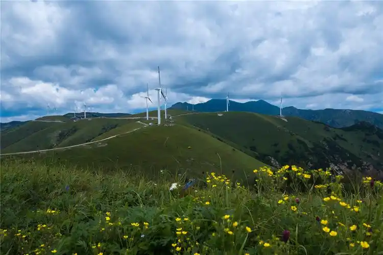 高山草甸,一路风景