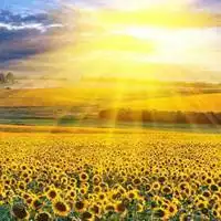 给人阳光一点的微信头像点击鼠标右键下载