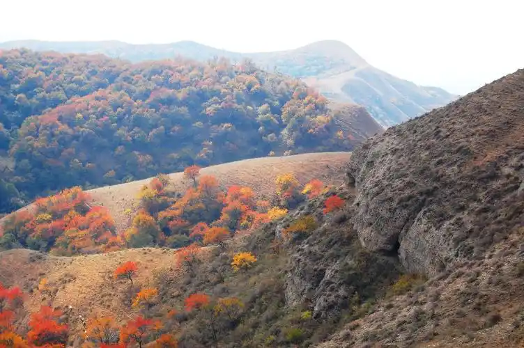 伊犁大西沟福寿山秋色