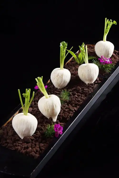 5.22重庆市首届意境融合菜交流峰会回顾