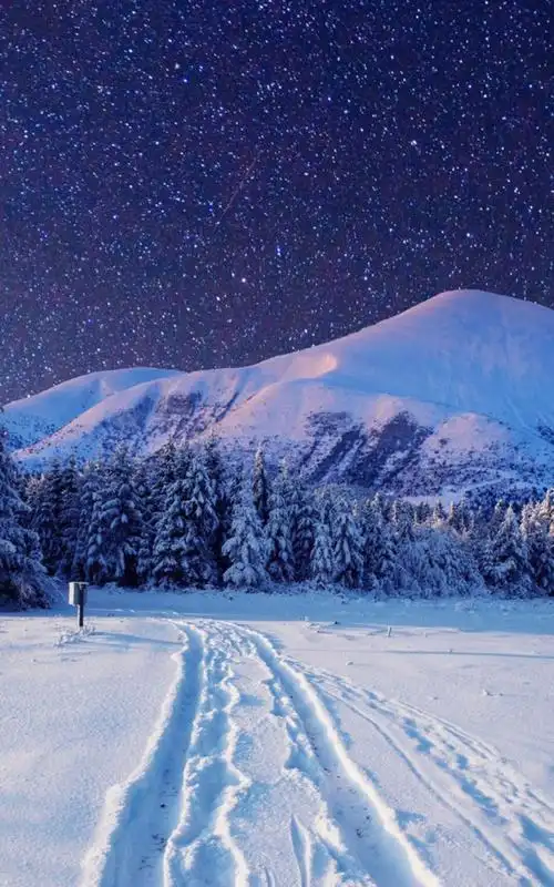 唯美夜晚星空雪地风景手机竖屏高清壁纸