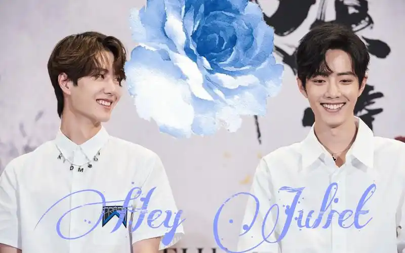 活动  【王一博/肖战】juliet