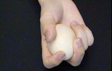 我们用中,食,拇三指握紧鸡蛋,食指和中指捏住鸡蛋的小头,大拇指这样捏