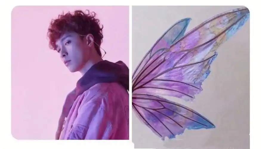 紫色张艺兴男朋友