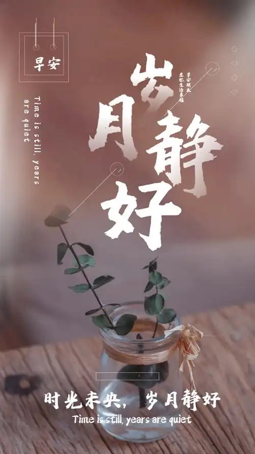 唯美文艺摄影图海报vip早安五月荷花日签简约通用摄影图海报正版早安