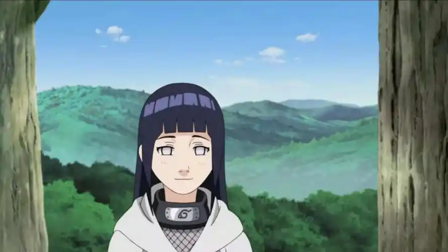 日向雏田的出场集数有哪些