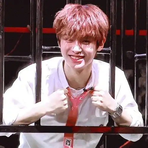 有没有黄明昊泰菲笑的图片