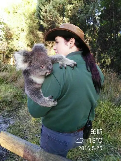 西澳自由行漫记