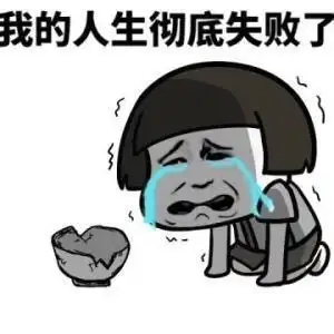 我的人生彻底失败了么心_表情包_斗图图片